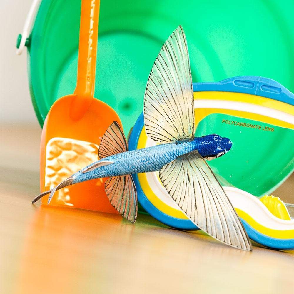 Flying Fish Toy | Nordstrom
