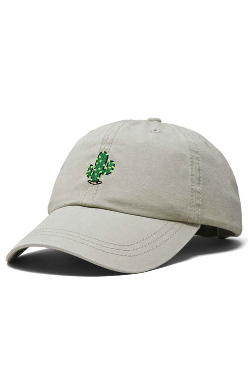 Dalix Cactus Embroidered Low Crown Cap In Washed Stone White