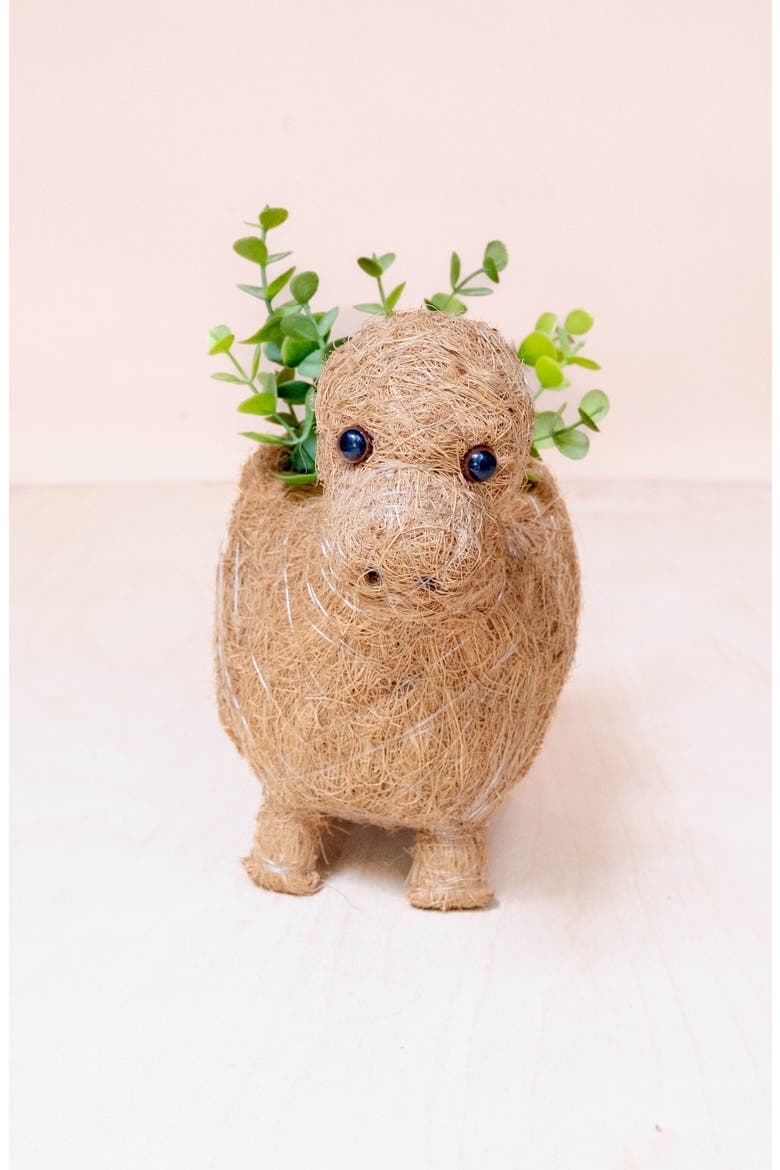 Dinosaur Coco Coir Planters, Alternate, color, Brown Baby Bronto