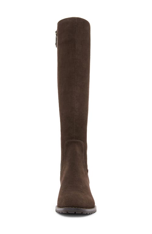 Blondo Sandy Waterproof Knee High Boot In Brown