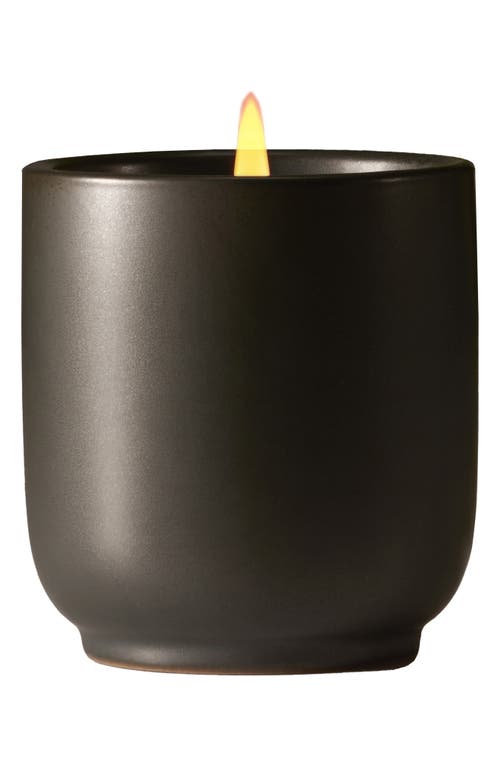 Homecourt Balsam Fireplace Scented Candle In Multi
