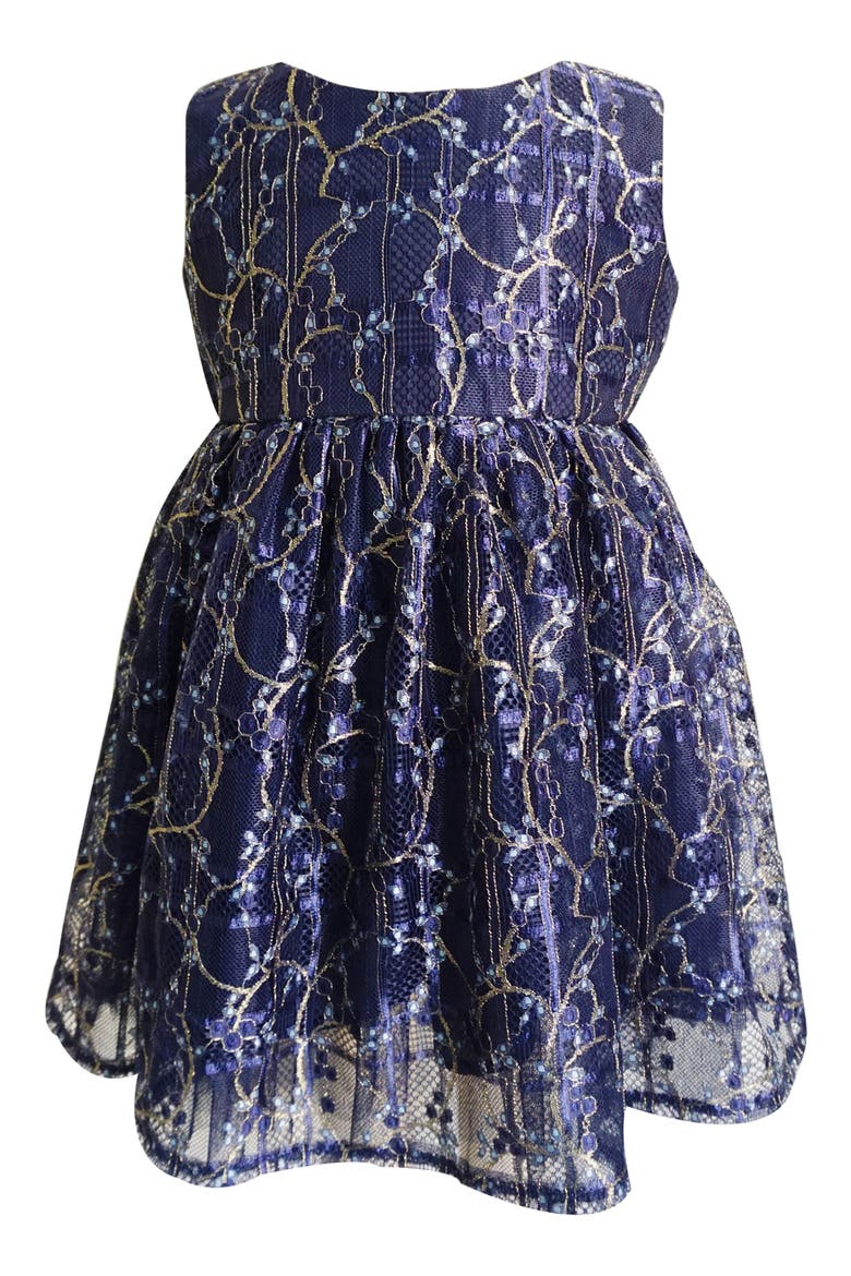 Floral Lace Overlay Dress, Main, color, BLUE MULTI