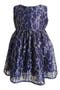 Floral Lace Overlay Dress