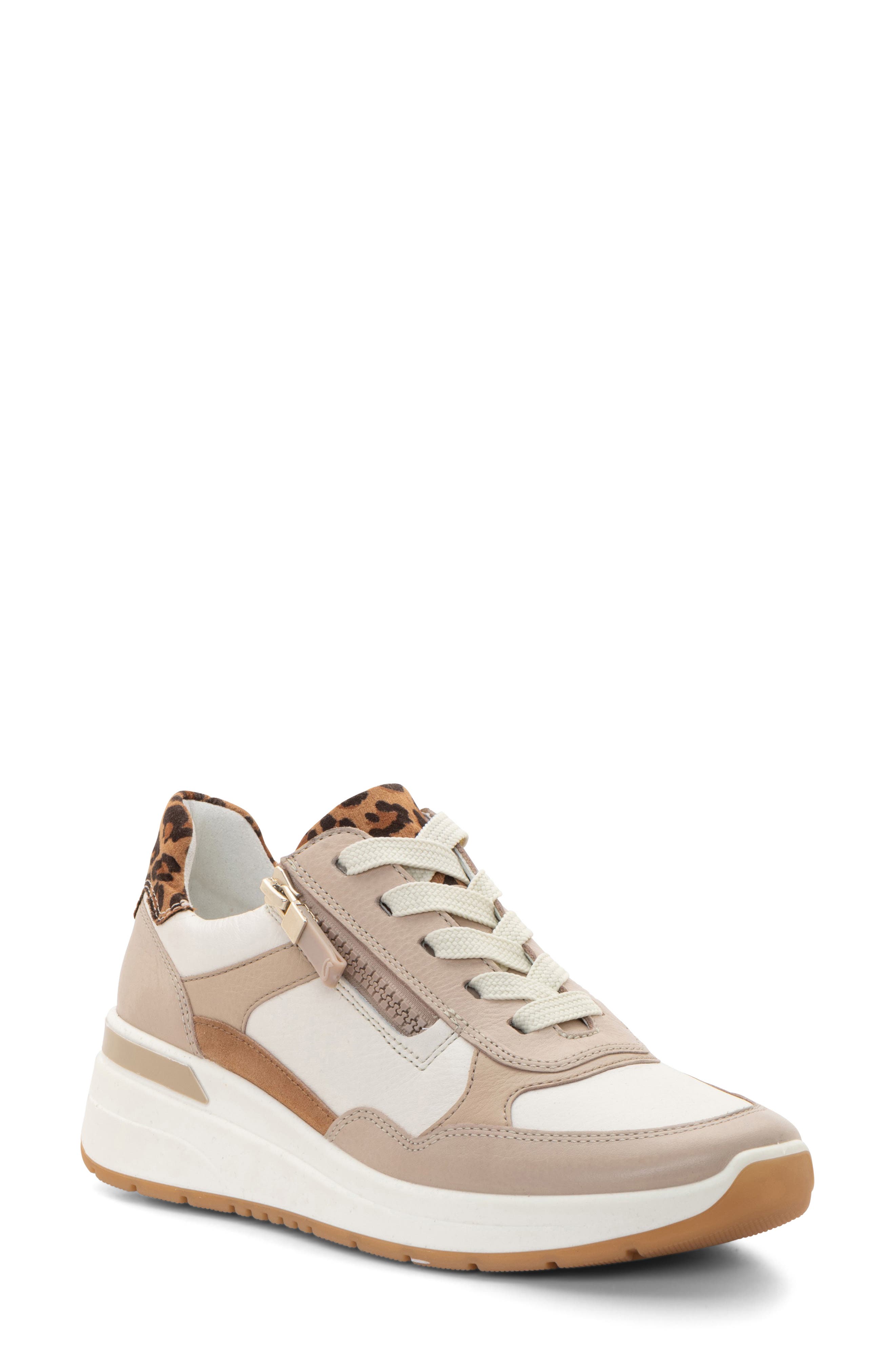  Shell/ Cream/ Sand/ Biscuit