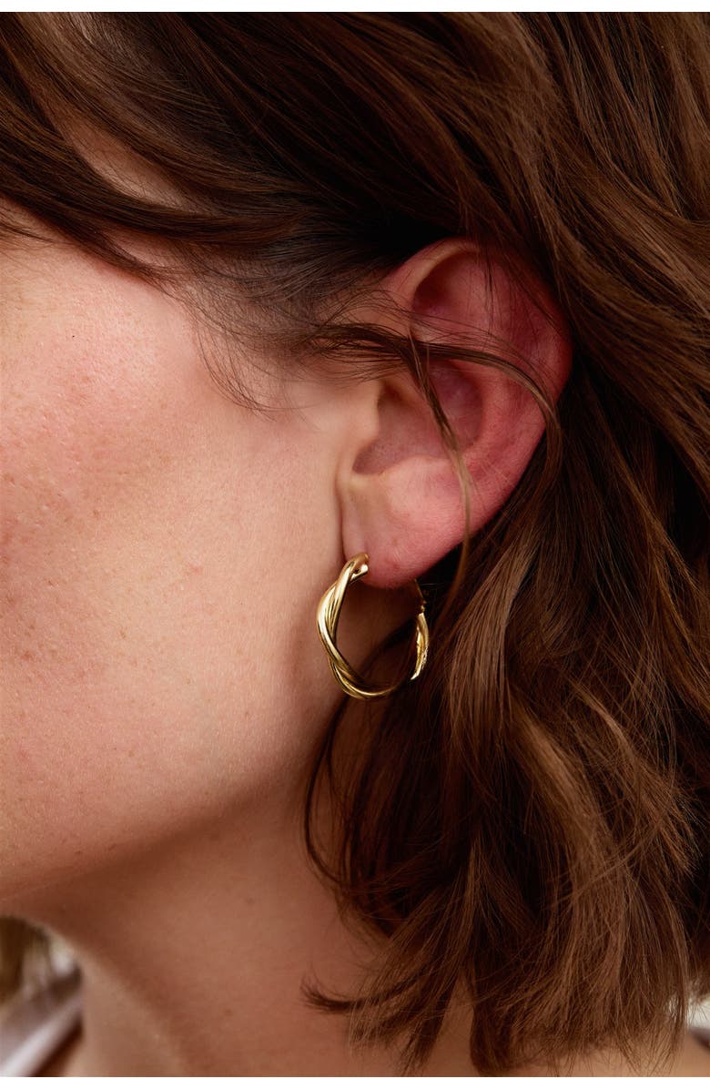 Set & Stones Lainey Twisted Hoops, Alternate, color, Gold