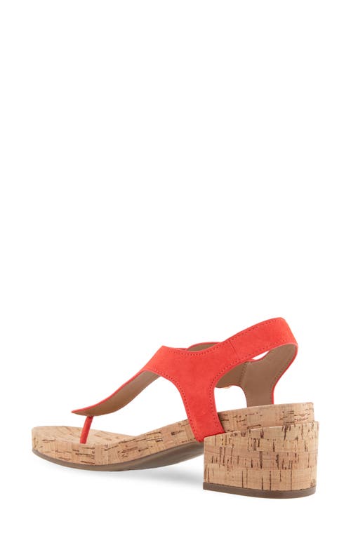 AEROSOLES AEROSOLES CALIFORNIA T-STRAP SANDAL 