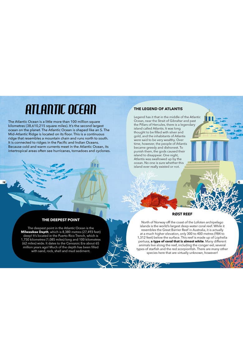The Sea 205 Piece Puzzle and Book Set, Alternate, color, Multicolored