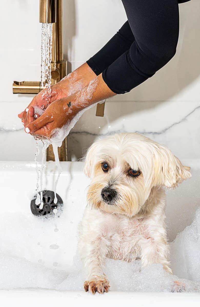 Wild One Conditioning Dog Shampoo, Alternate, color,