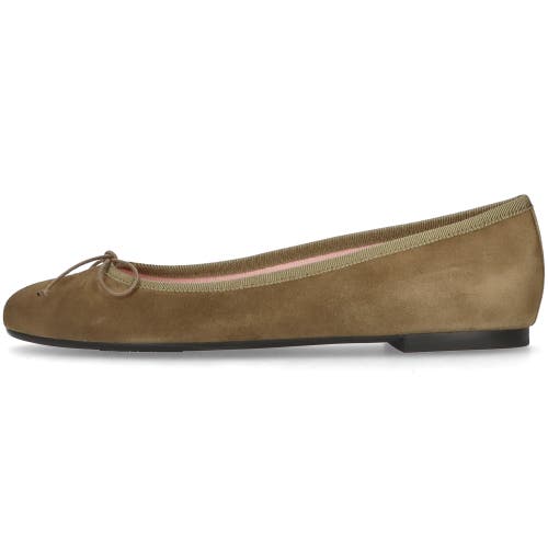 Pretty Ballerinas Round Toe Ballet Flat In Brown