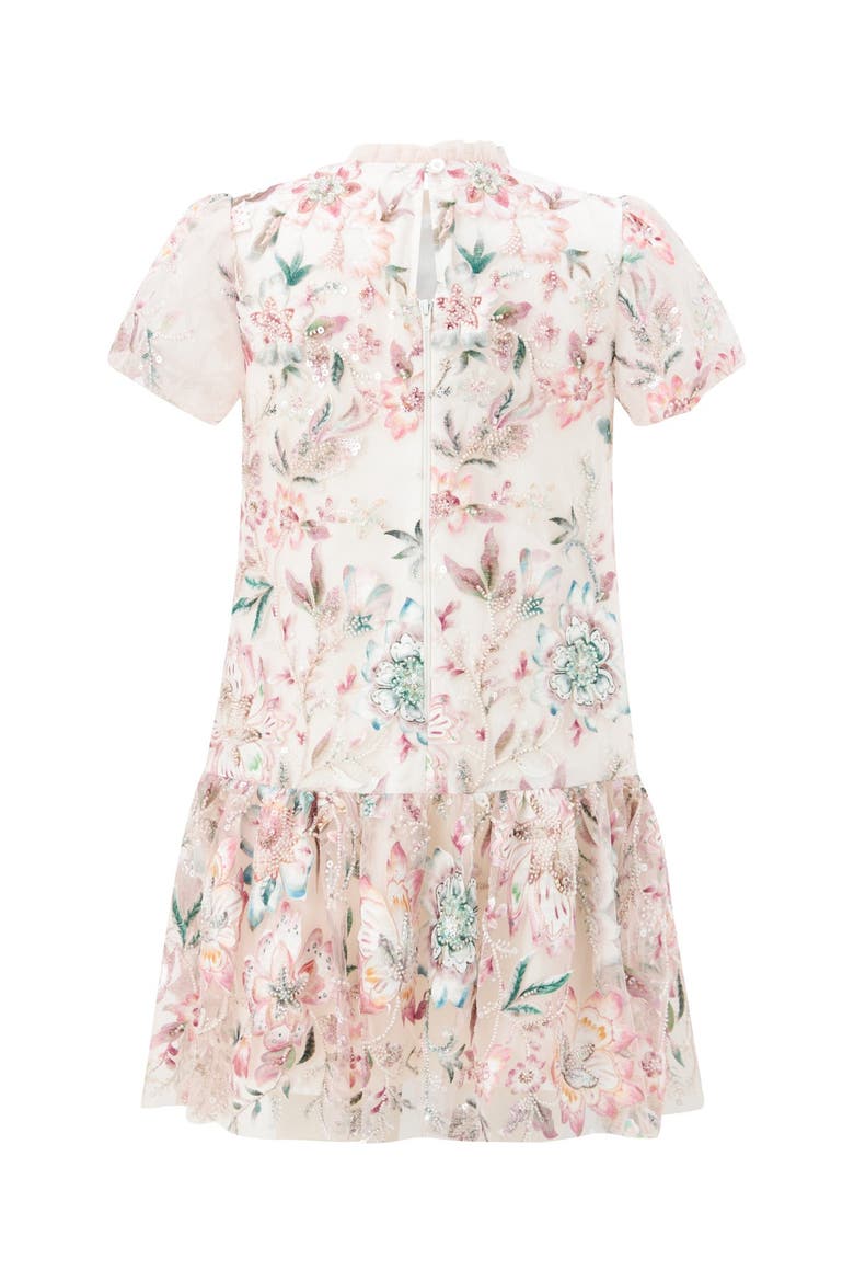 Veronica Embroidered Mini Dress, Alternate, color, Multi