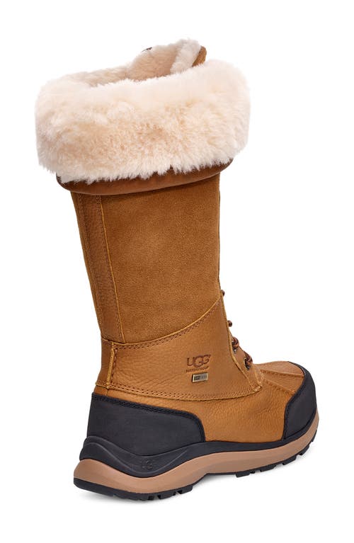 Ugg Adirondack Iii Waterproof Tall Boot In Chestnut