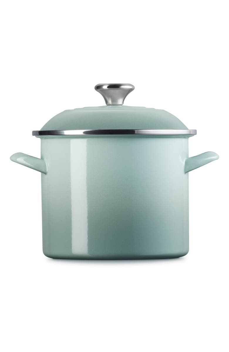 Le Creuset 6-Quart Enameled Stainless Steel Stock Pot, Alternate, color, Sea Salt