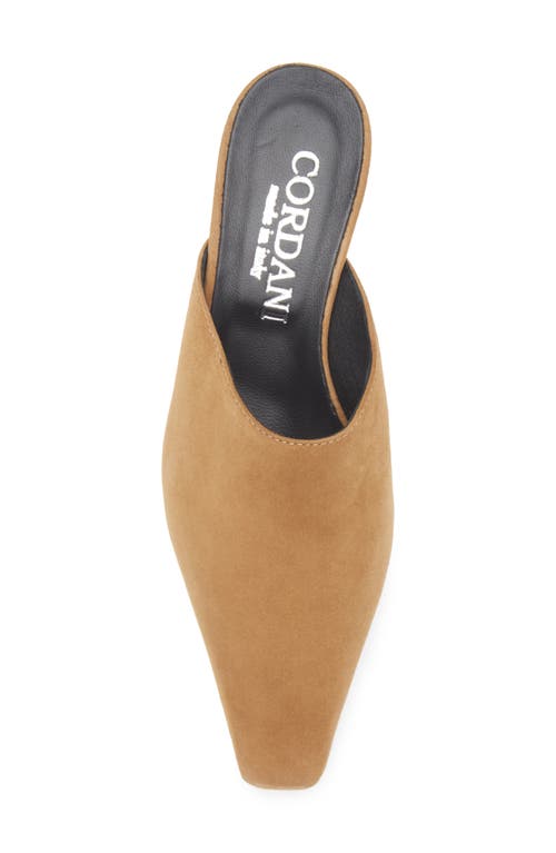 Cordani Ronan Kitten Heel Mule In Brown