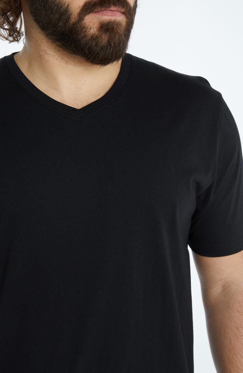 Johnny Bigg Essential V-Neck T-Shirt, Alternate, color, 