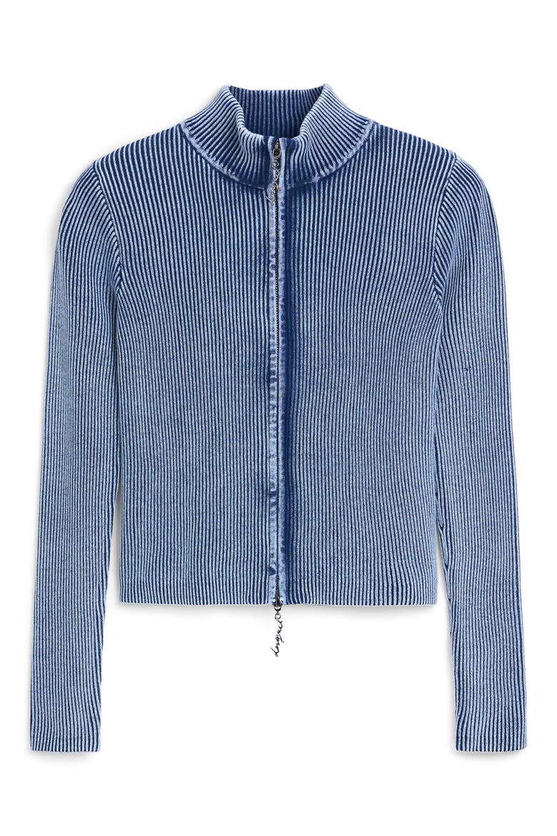 Thick Gauge Front Zip Jacket, Alternate, color, BLUE