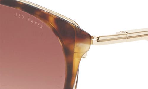 Ted Baker 50mm Gradient Round Sunglasses In Brown