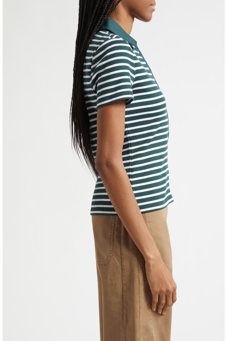 Kearney Stripe Mixed Media Stretch Cotton Top, Alternate, color, PINE/ WHITE