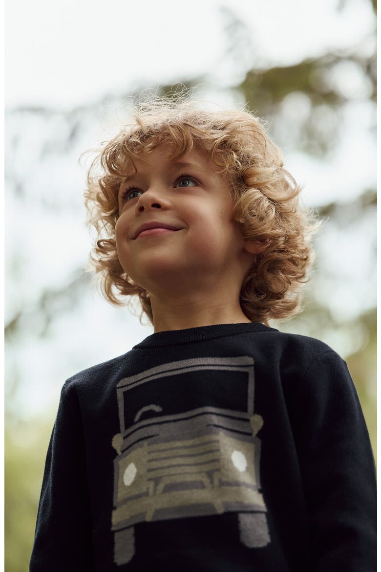 Kids' Off-Roader Organic Cotton Graphic Sweater, Alternate, color, BLACK