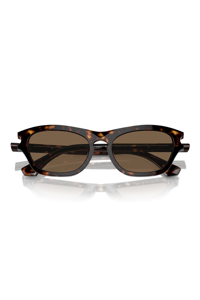 55mm Pillow Sunglasses, Main, color, DARK HAVANA