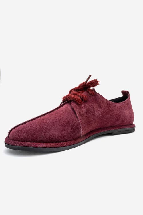 Forever & Always Shoes Denora Leather Lace Up Shoes In Burgundy