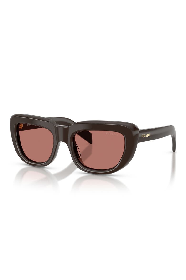 53mm Rectangular Sunglasses, Alternate, color, CIGAR / BORDEAUX