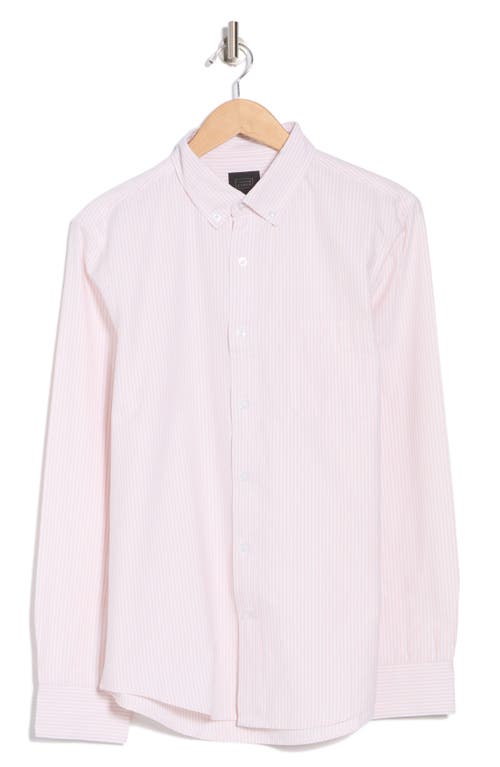 14th & Union Stripe Oxford Button-down Shirt In Pink Sepia Oxford Stripe