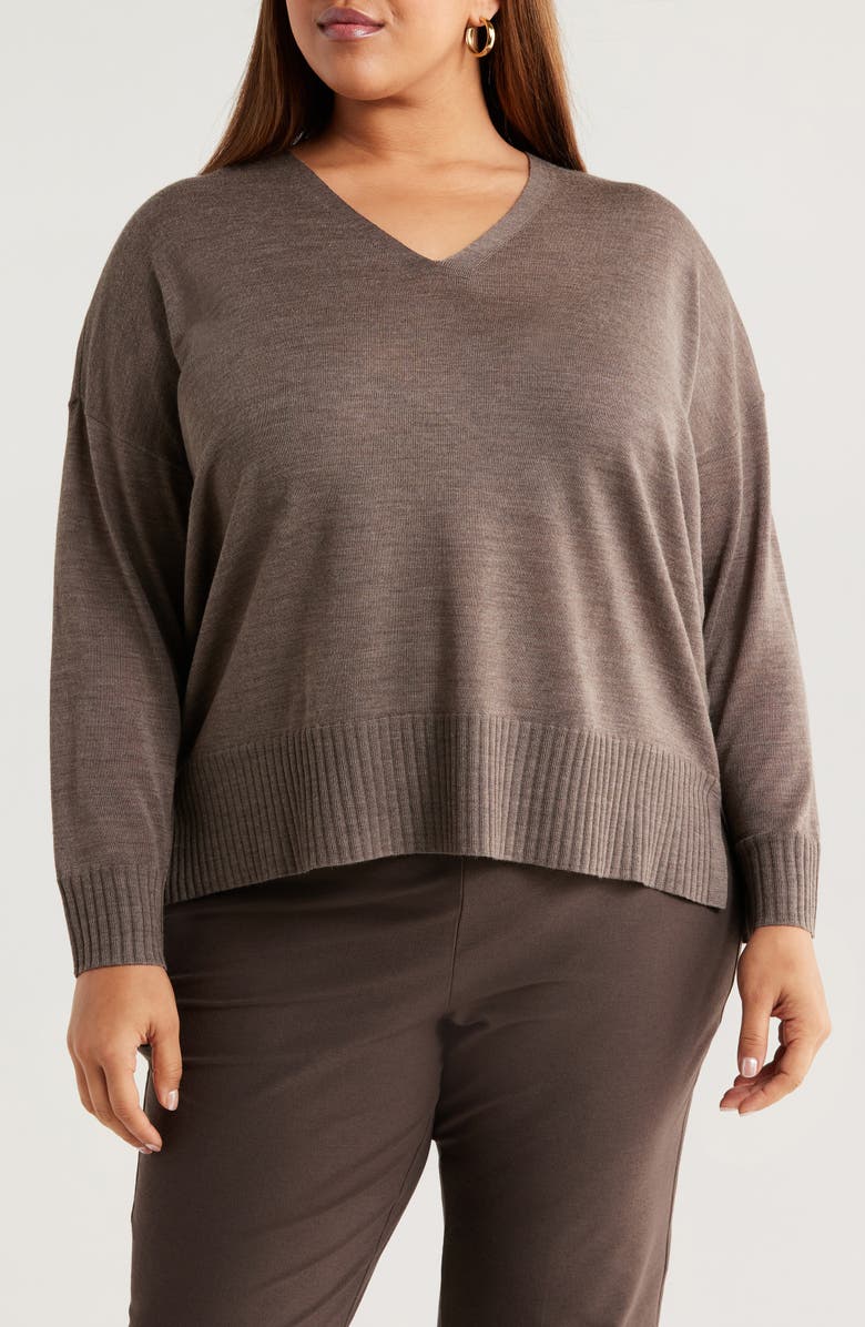 Eileen Fisher V-Neck Merino Wool Sweater, Main, color, 