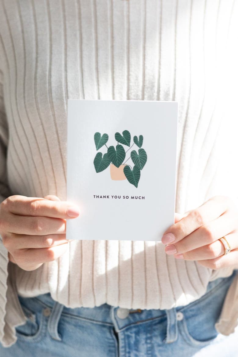 Thank You House Plant Boxed Set of 8 Greeting Cards, Alternate, color, White, Teal, Coral