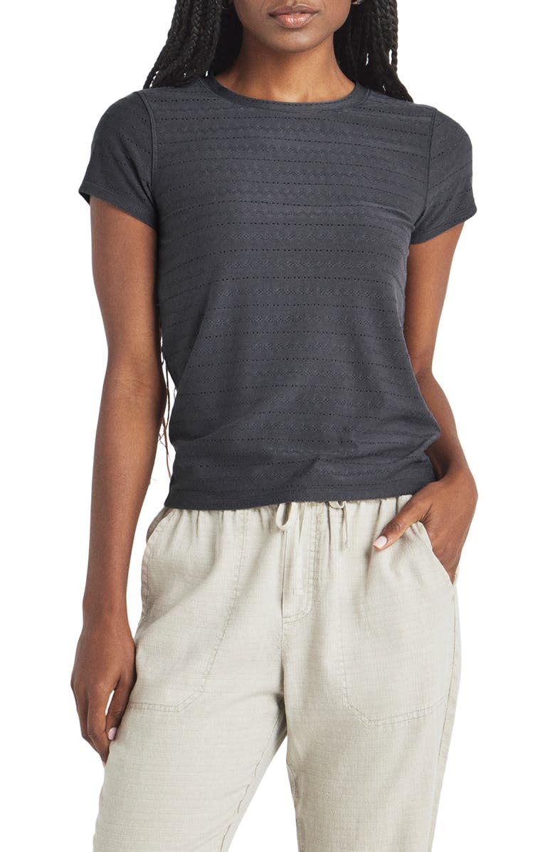 Splendid Palmer Pointelle Stripe T-Shirt, Main, color, 