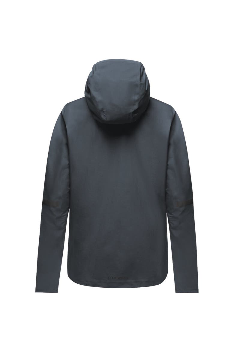 Lupra 2.0 Gore-tex Hooded Jacket - Women's, Alternate, color, Lab Graphite