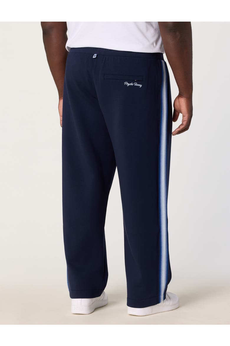 Big & Tall Pal Wide-Leg Track Pants, Alternate, color, NAVY