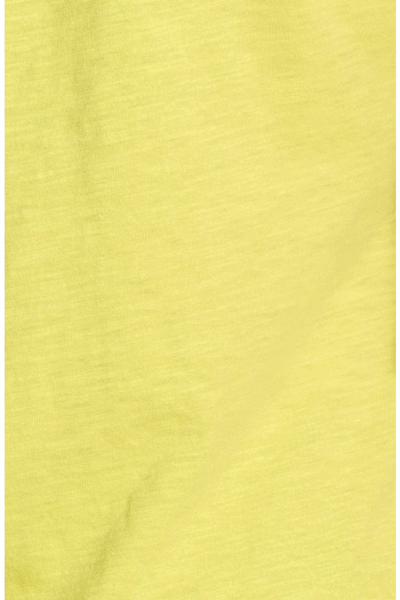 Organic Cotton V-Neck Tee, Alternate, color, HONEYDEW