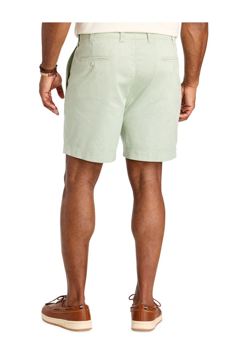 Big & Tall Printed Chino Shorts, Alternate, color, FROSTY GREEN