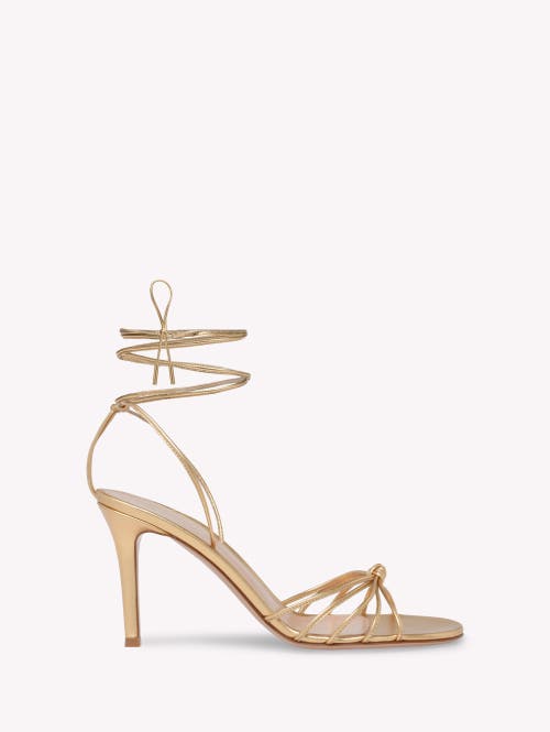 Gianvito Rossi Knot-detail Lace-up Sandals