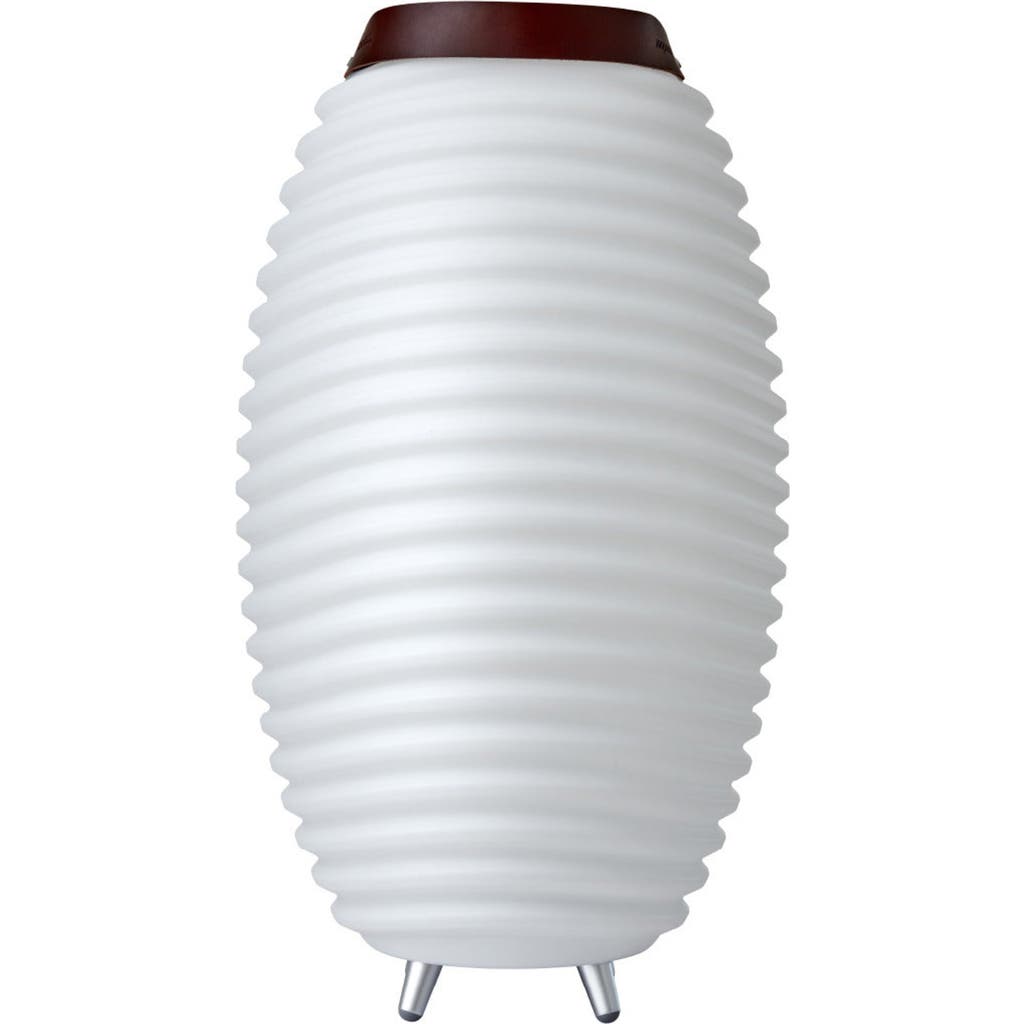 Adesso Lighting Synergy 65-inch Floor Lamp