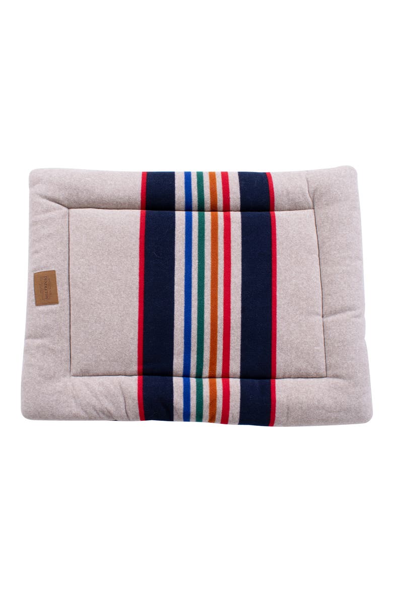 National Park Comfort Cushion, Alternate, color, YELLOWSTONE