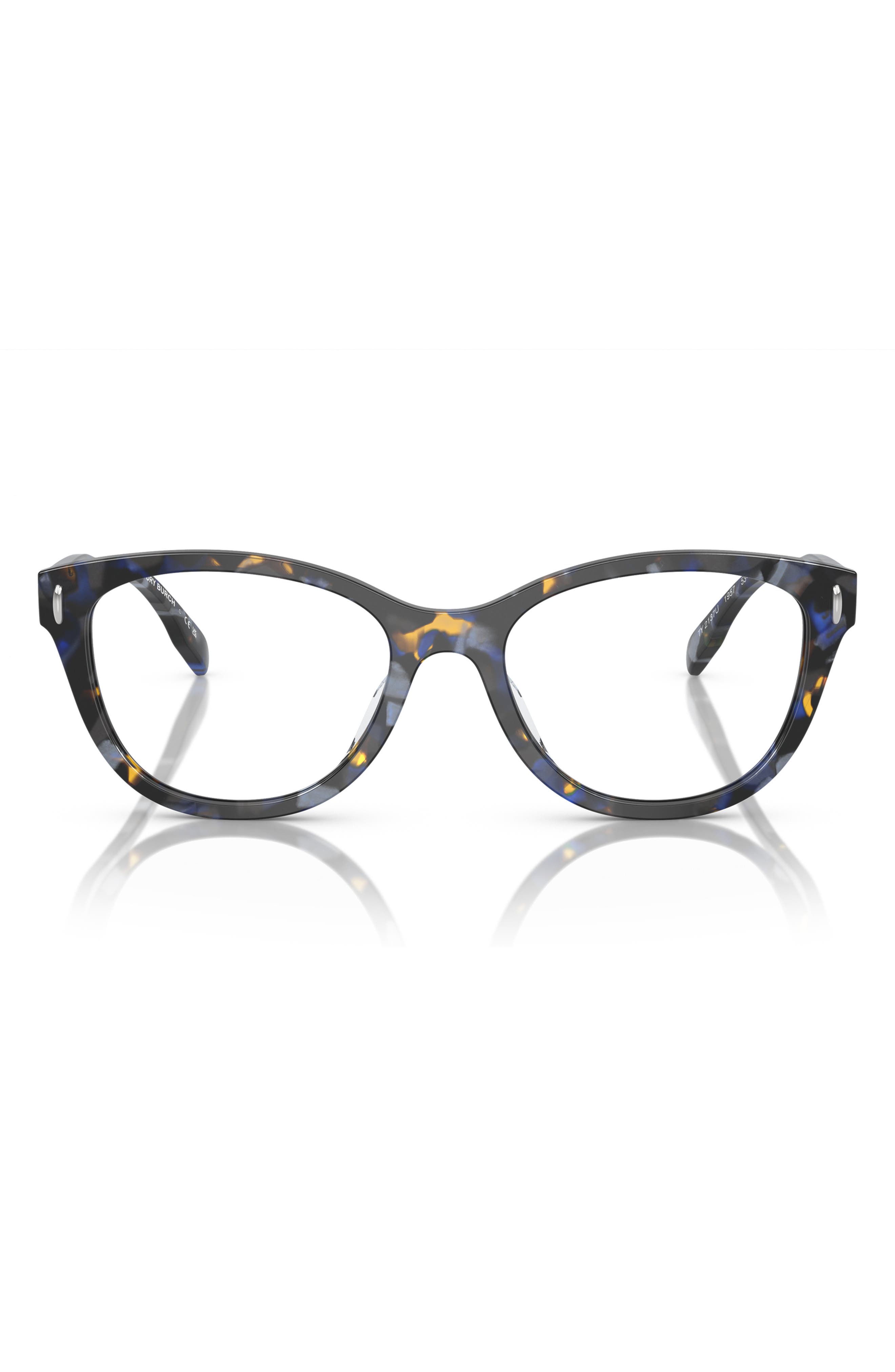 selected BLUE TORTOISE