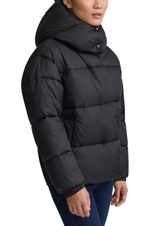 Nvlt Cire Wonder Puffer Jacket With Removable Hood In Black
