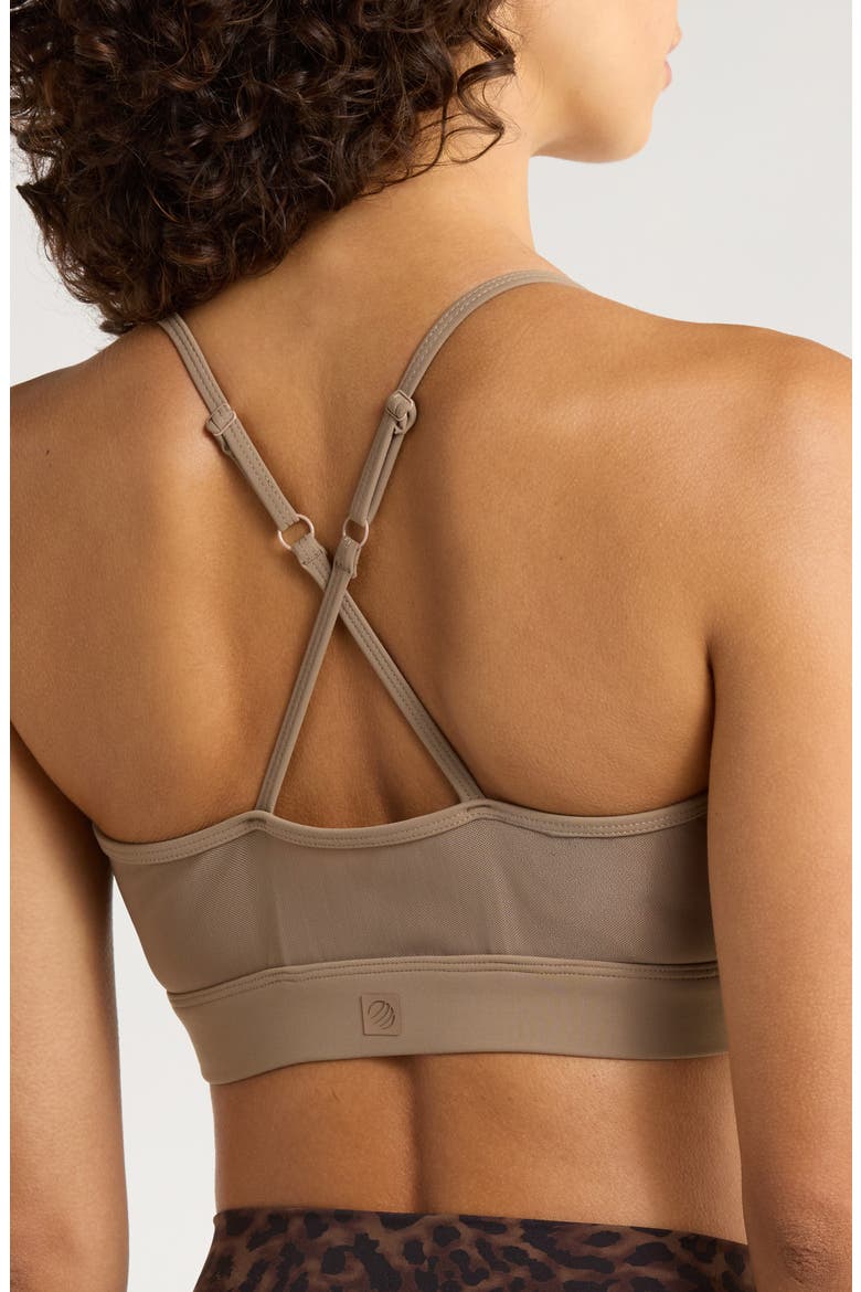Sculpt Mesh Inset Sports Bra, Alternate, color, CARIBOU/BLACK