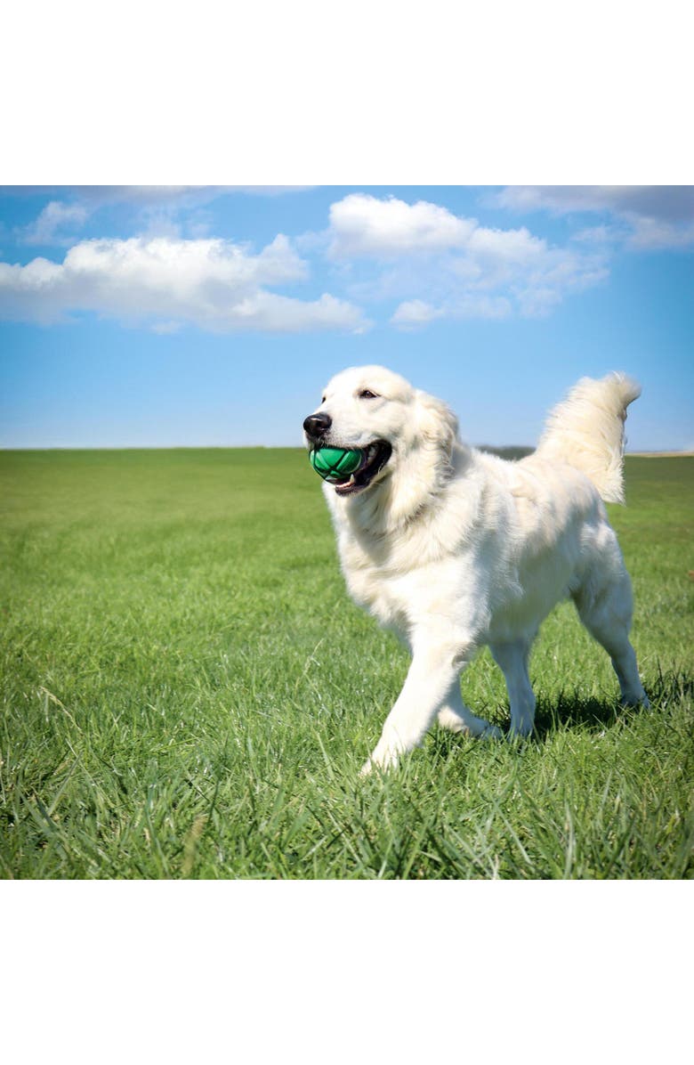 PetKORE FloTex Ball, Large, 3.25 Inches, Green, Dog Toy, Alternate, color,