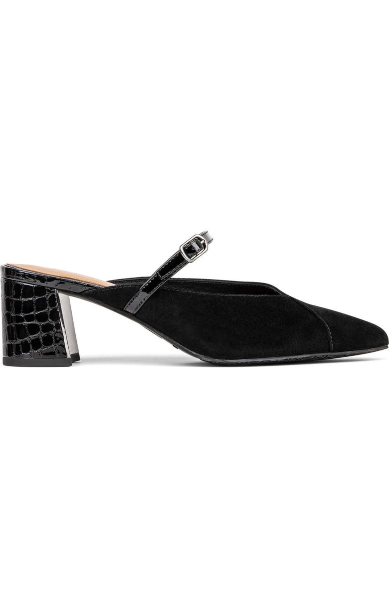 Donald Pliner Pointed Toe Mule, Alternate, color,
