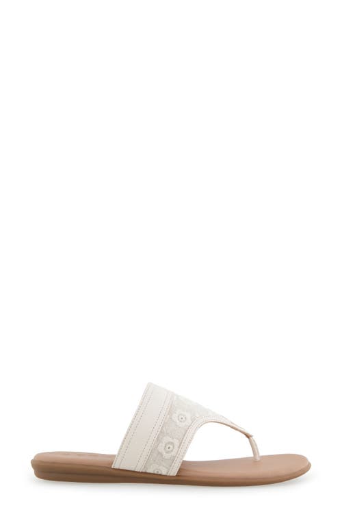 AEROSOLES AEROSOLES ILLIA POINTED TOE FLAT 