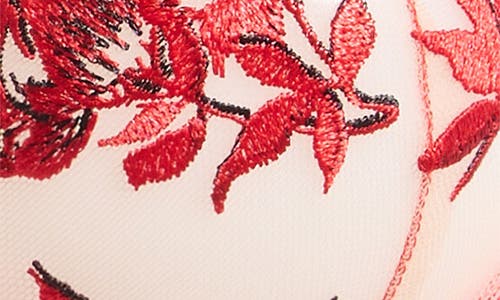 Bluebella Lavanya Embroidered Underwire Bra In Red
