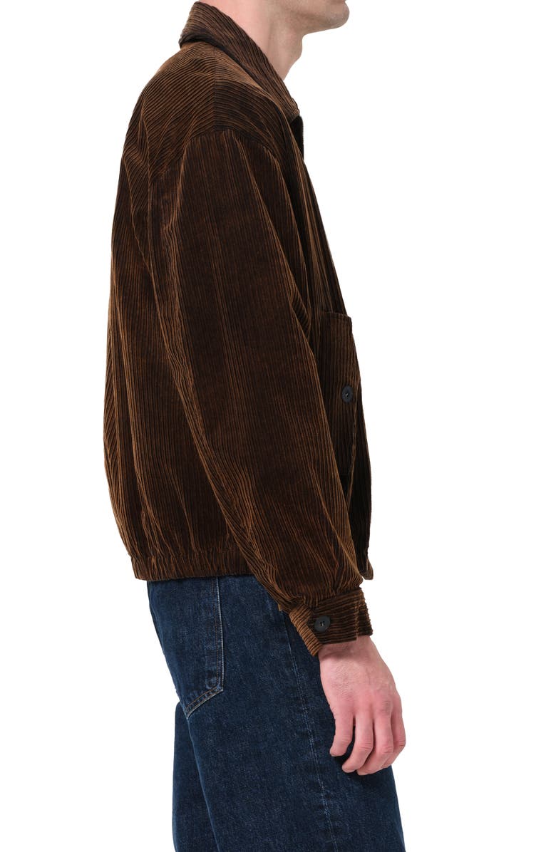 AGOLDE Torres Corduroy Bomber Jacket, Alternate, color, Espresso