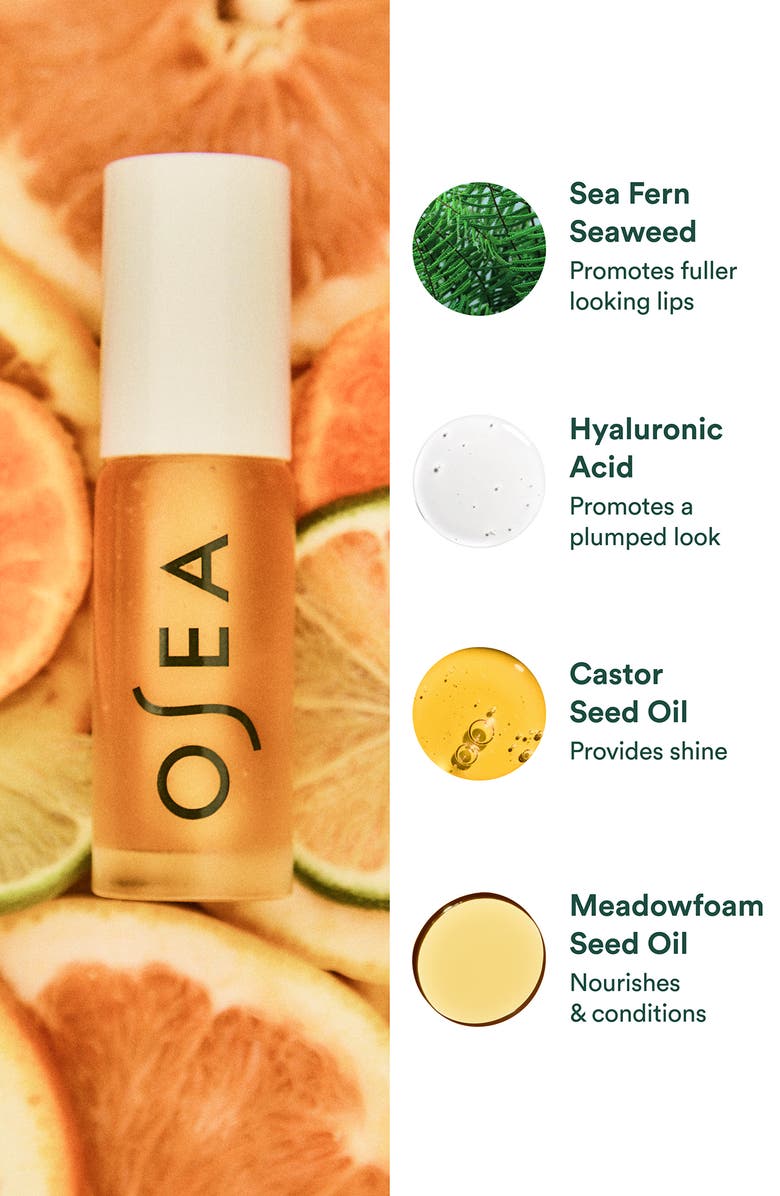 Hyaluronic Acid Lip Booster