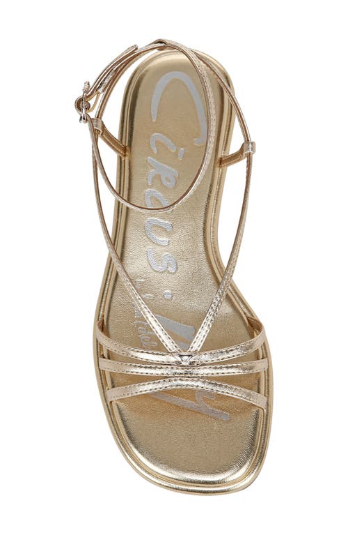 Circus Ny By Sam Edelman Olana Strappy Flat Sandals In Gold Leaf