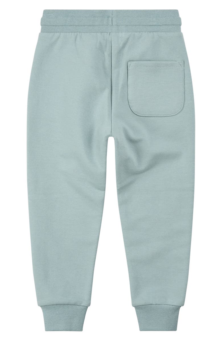 MILES THE LABEL Kids' Slate Blue Fleece Joggers, Alternate, color, Dusty Blue