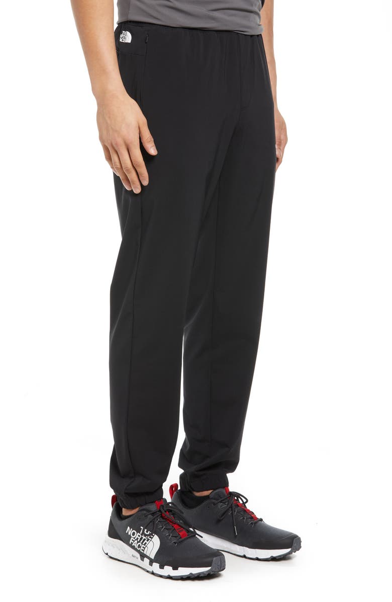 The North Face Men's Wander Sweatpants, Alternate, color, 