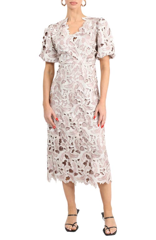 Adelyn Rae Chantelle Scallop Lace Midi Dress In Champagne/mauve
