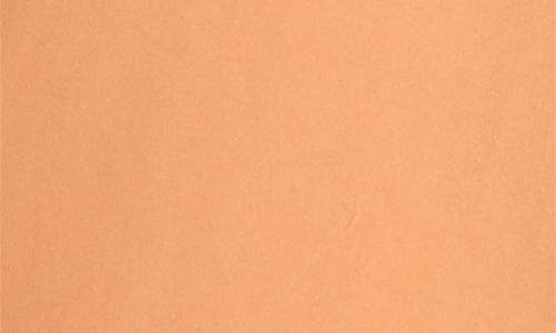 Carhartt Work In Progress Chase Swim Trunks In Brown